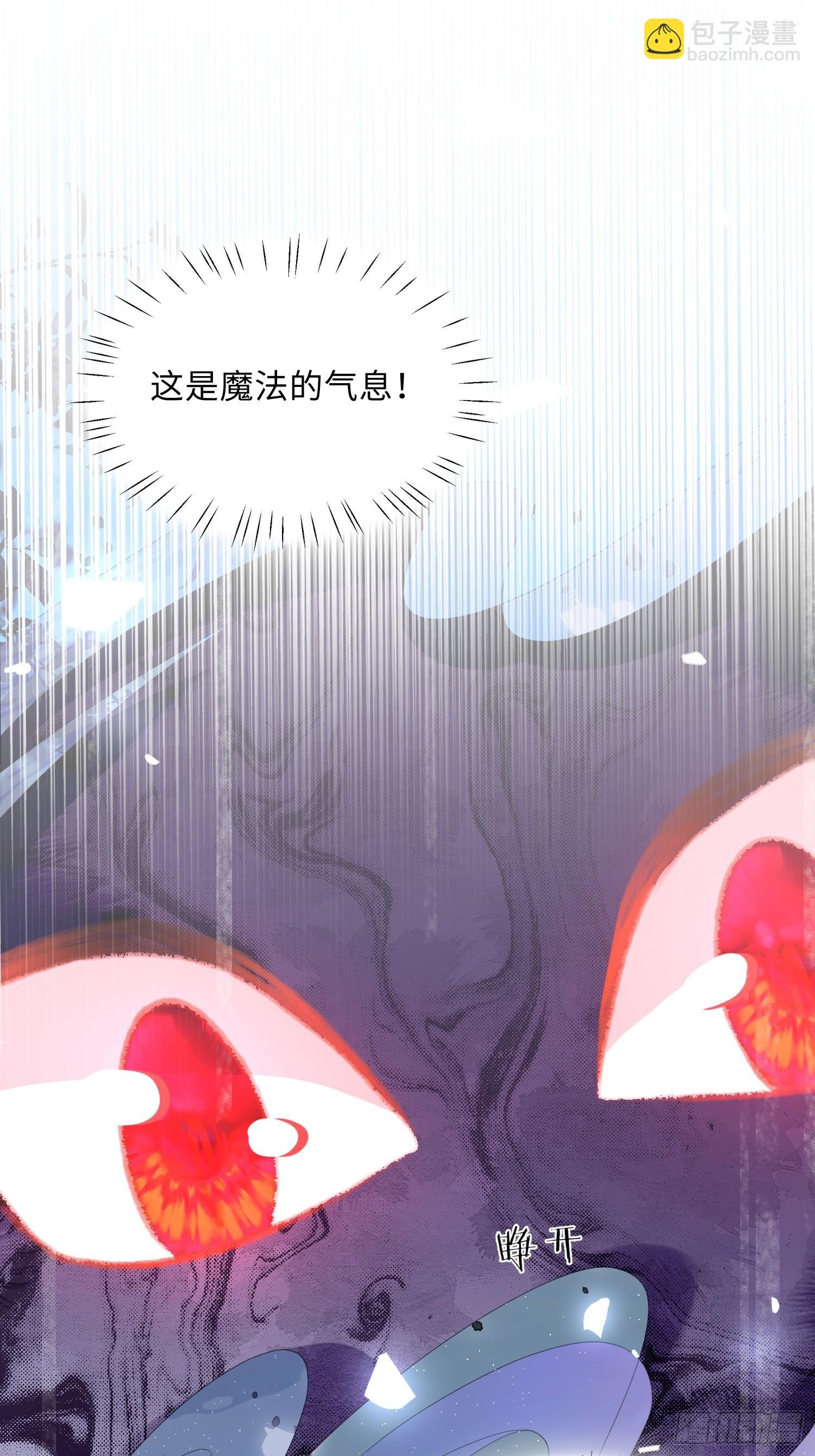 09 猫的梦境