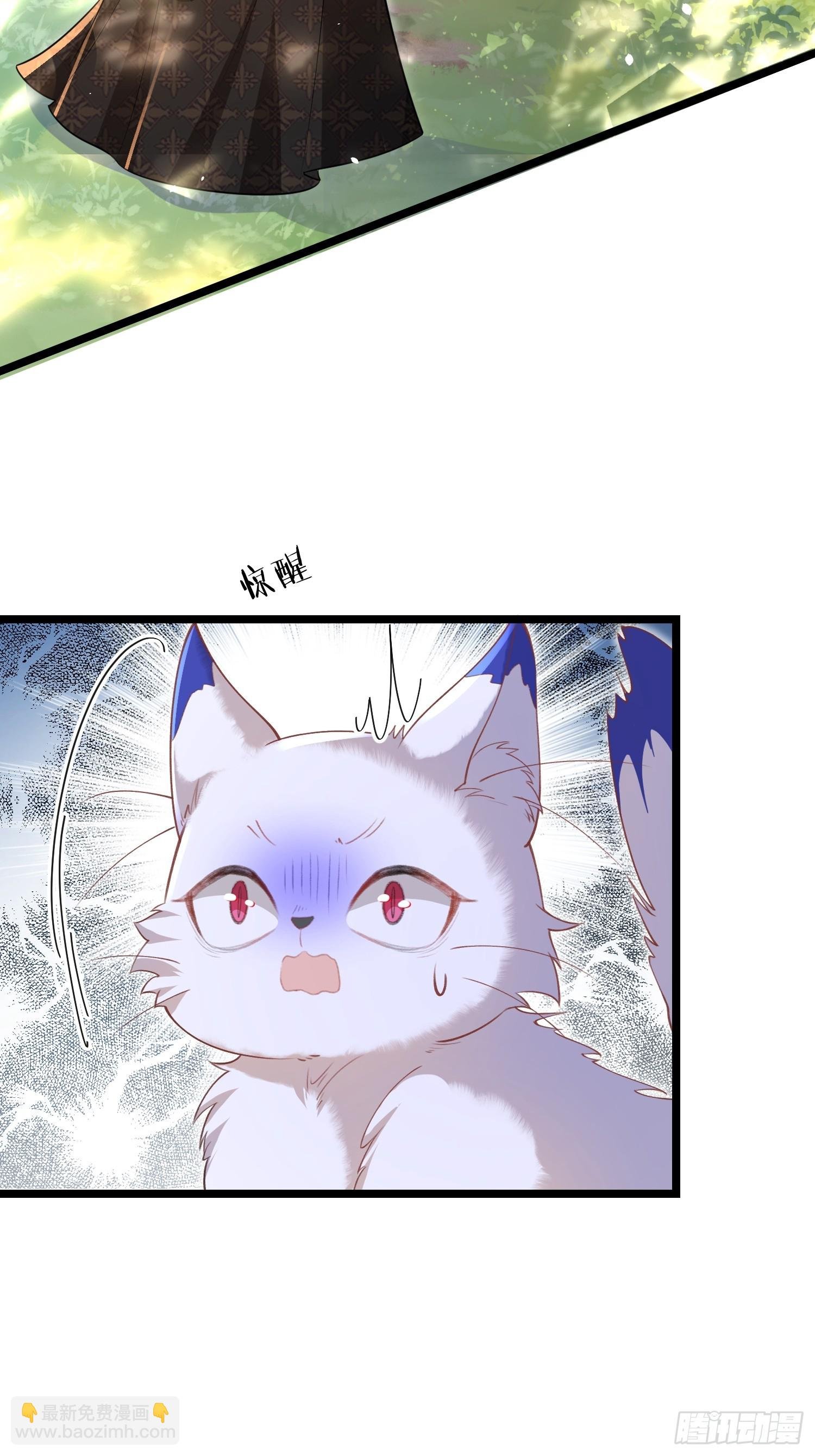 09 猫的梦境