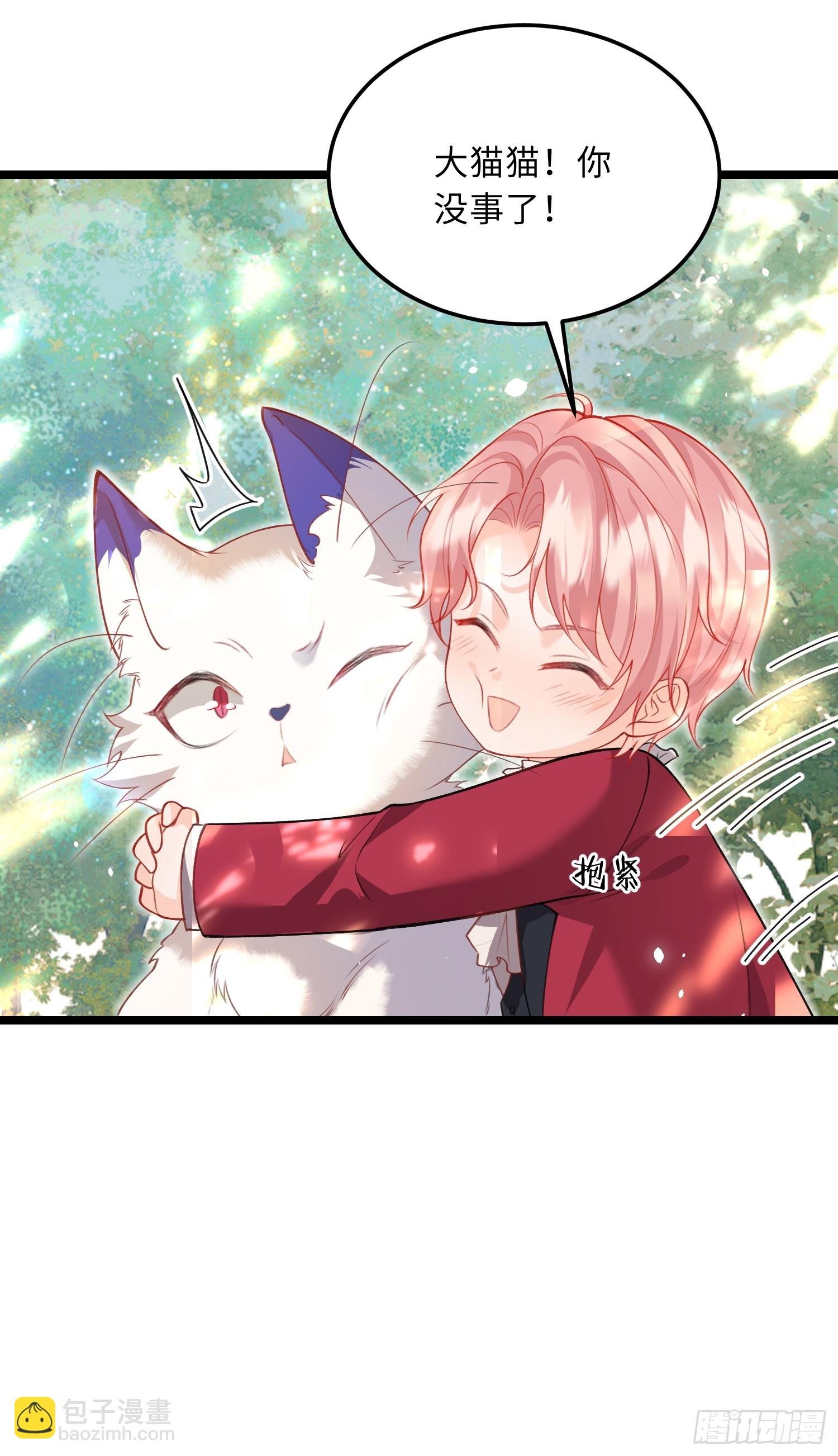 09 猫的梦境