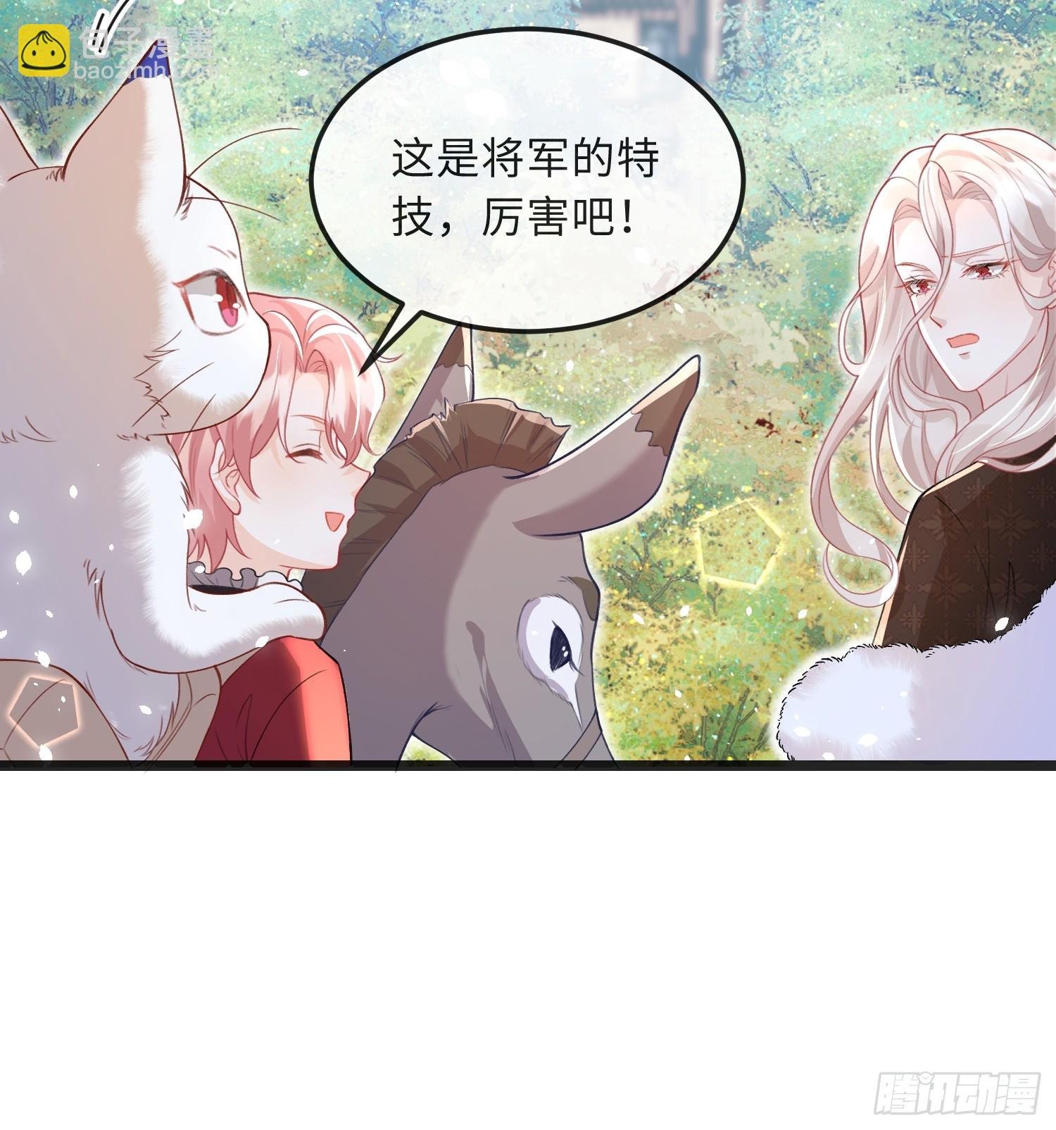 09 猫的梦境