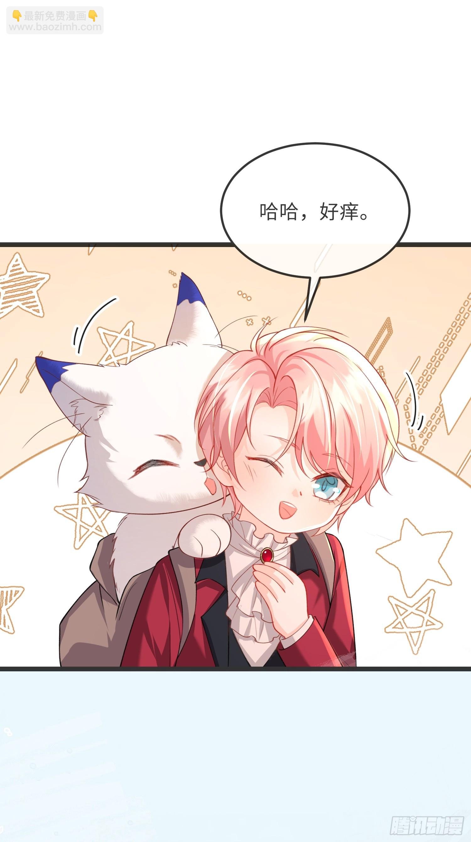 09 猫的梦境