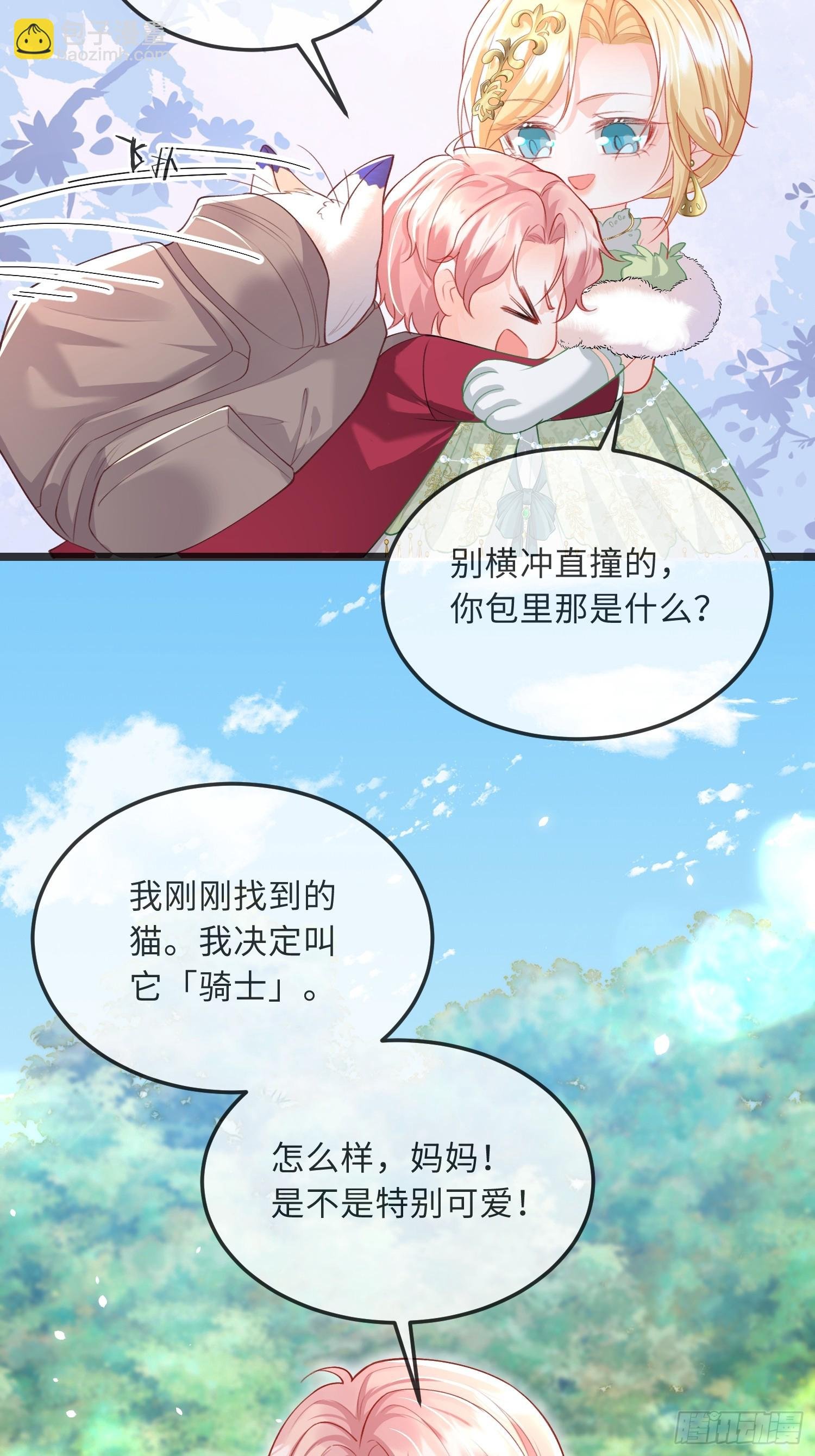 09 猫的梦境