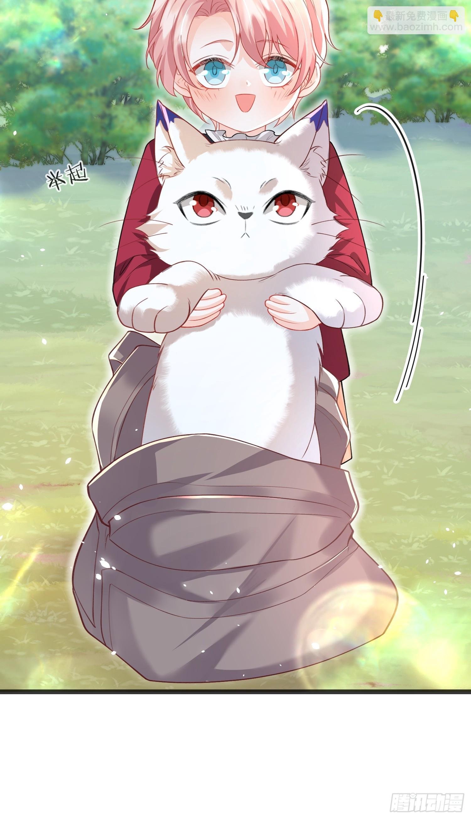 09 猫的梦境