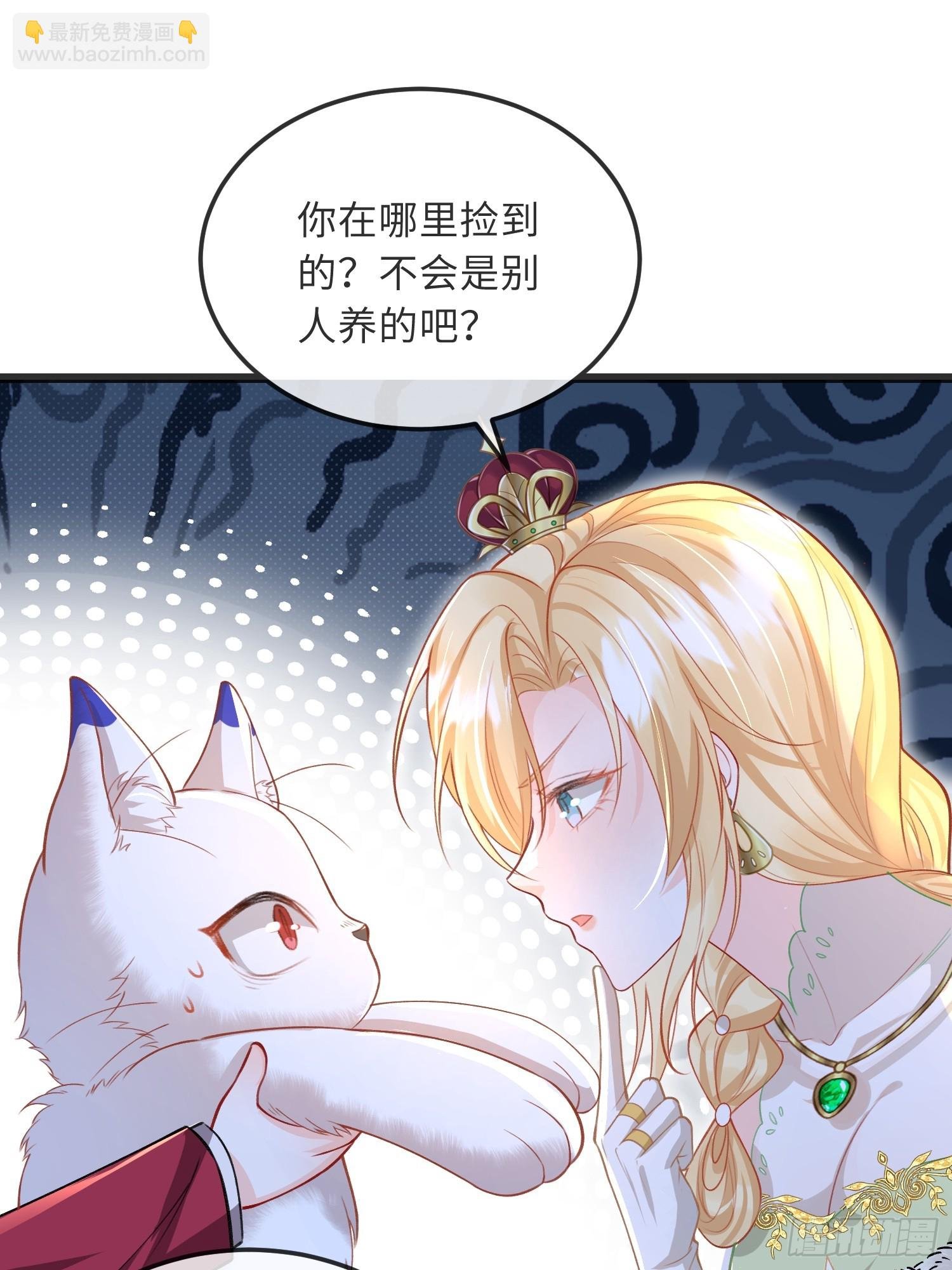 09 猫的梦境