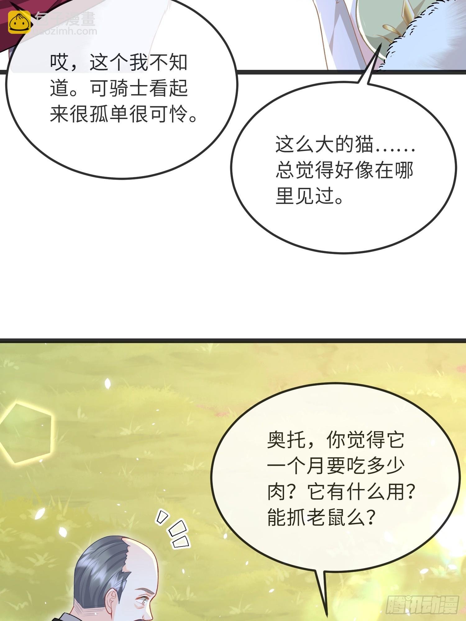 09 猫的梦境