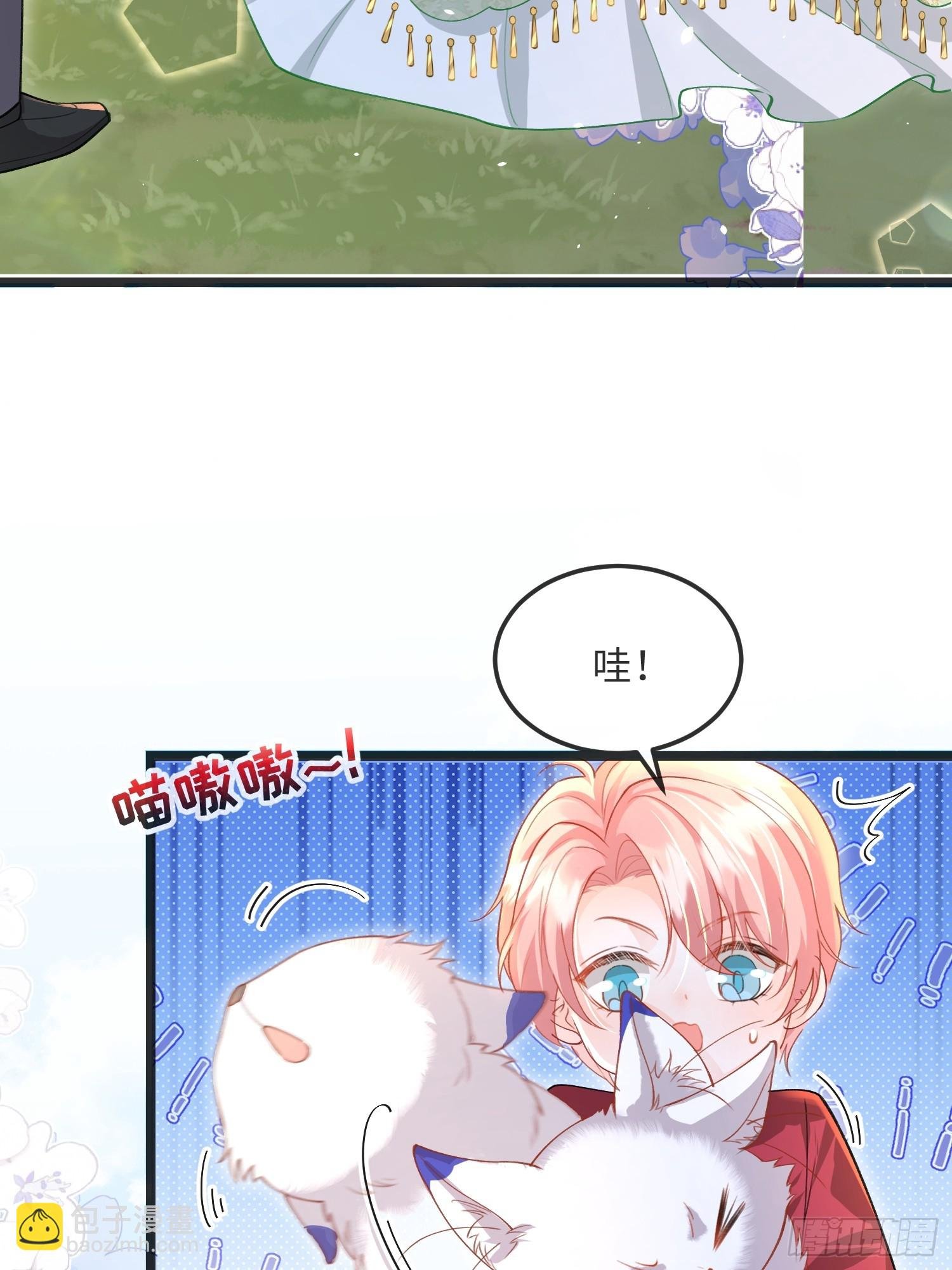 09 猫的梦境
