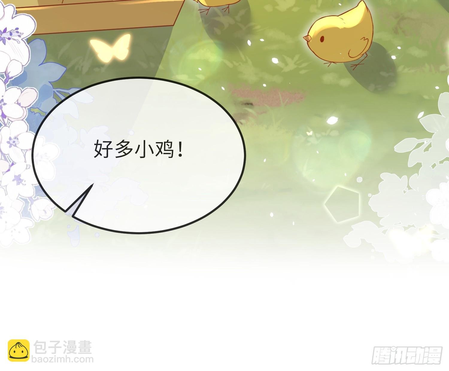 09 猫的梦境