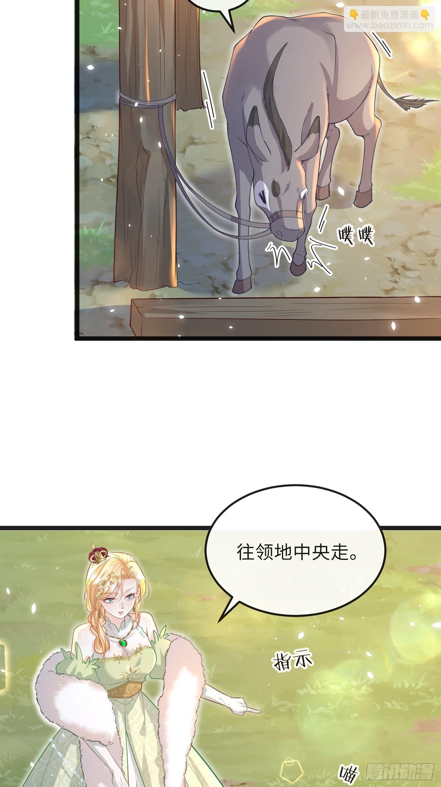 09 猫的梦境