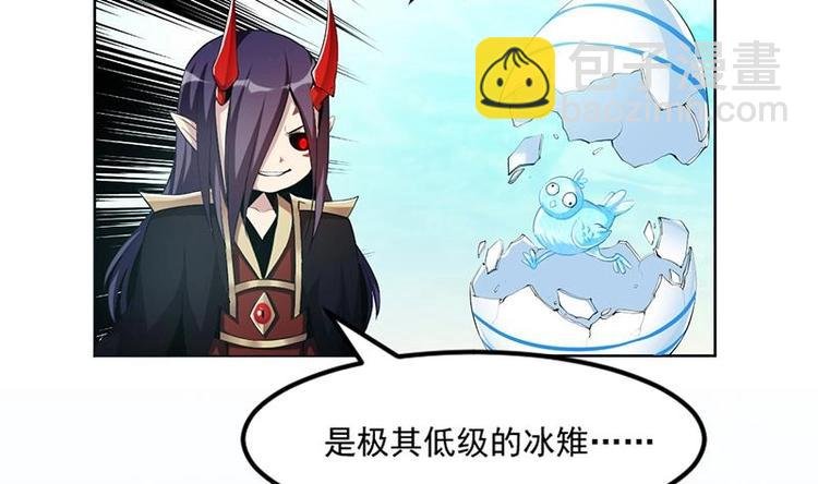 第5话 孵蛋功法