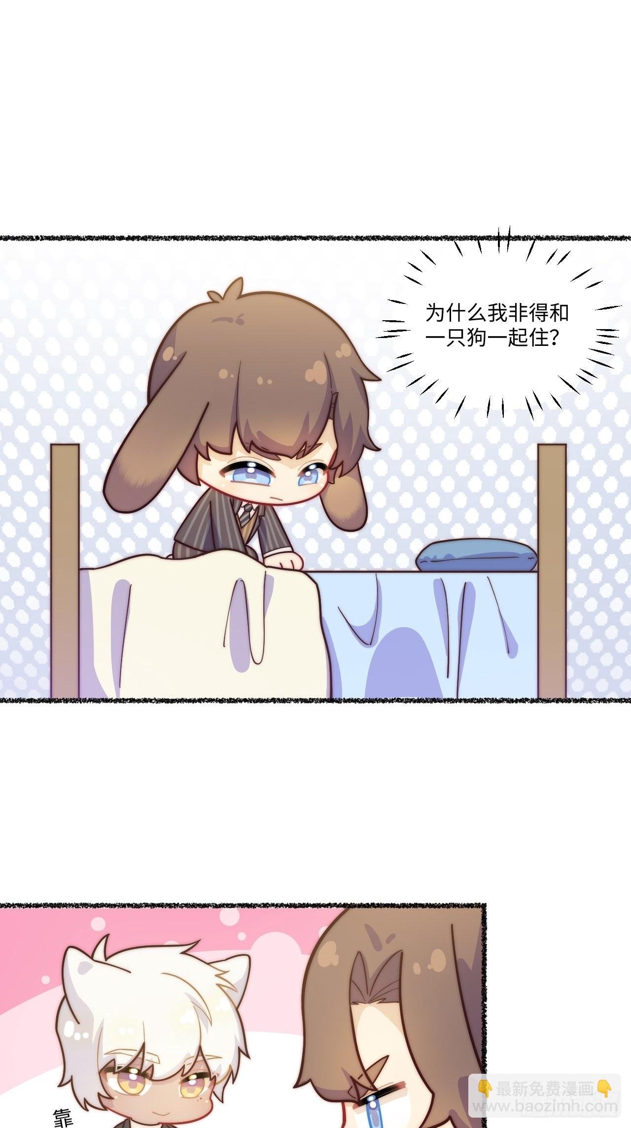 春节番外-1