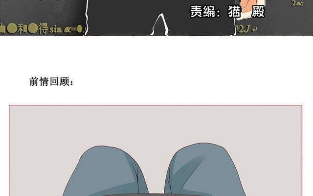 第40话 那个关于树叶的传说