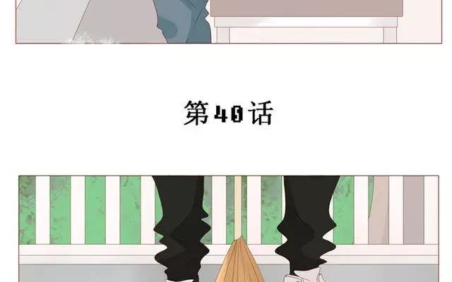 第40话 那个关于树叶的传说