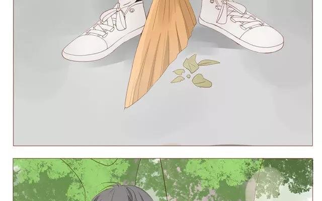 第40话 那个关于树叶的传说