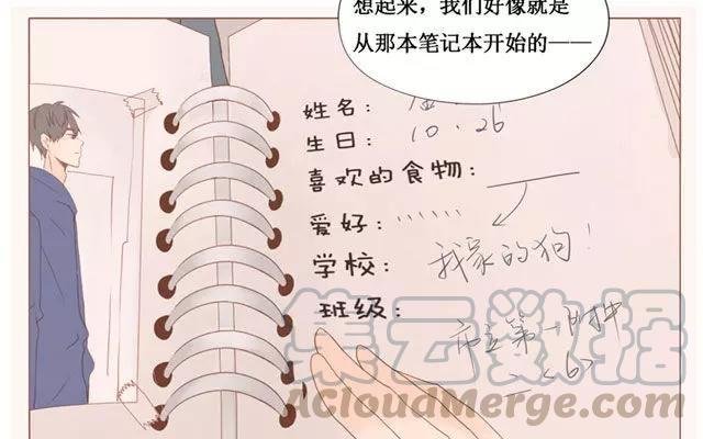 第40话 那个关于树叶的传说