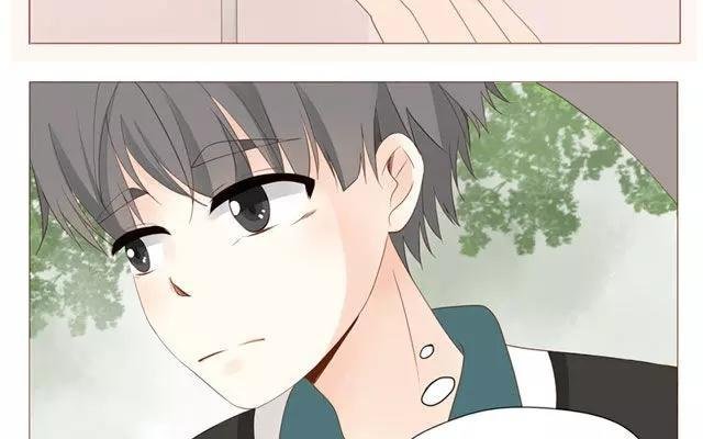 第40话 那个关于树叶的传说