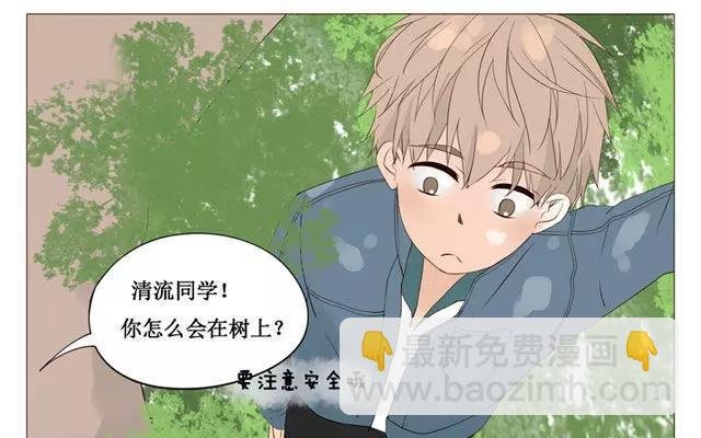 第40话 那个关于树叶的传说