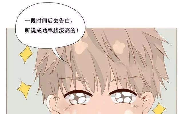 第40话 那个关于树叶的传说