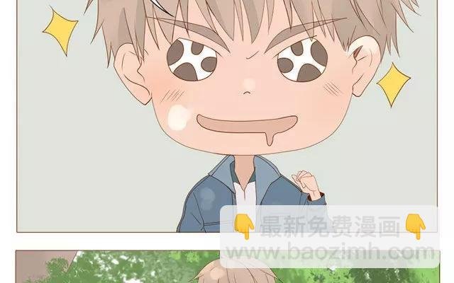 第40话 那个关于树叶的传说