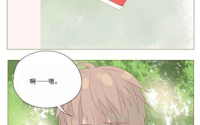 第40话 那个关于树叶的传说