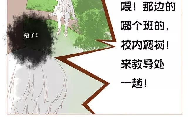 第40话 那个关于树叶的传说