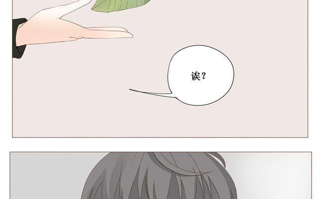第40话 那个关于树叶的传说