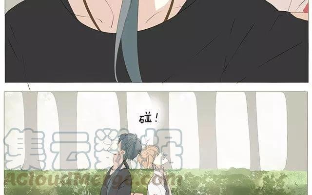 第52话 强敌出现？！