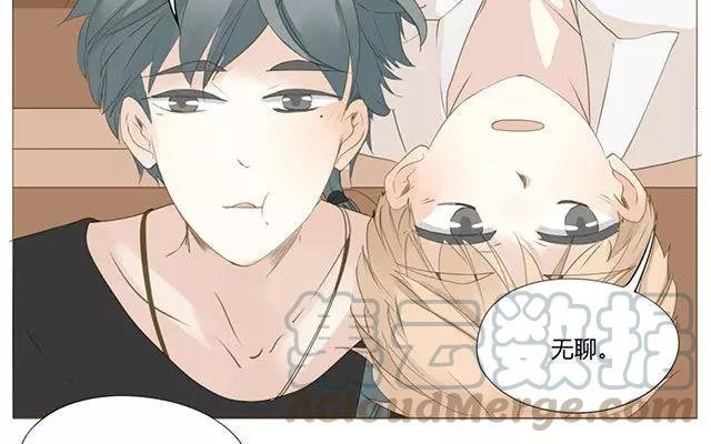 第52话 强敌出现？！