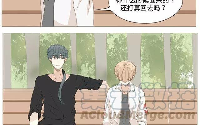 第52话 强敌出现？！
