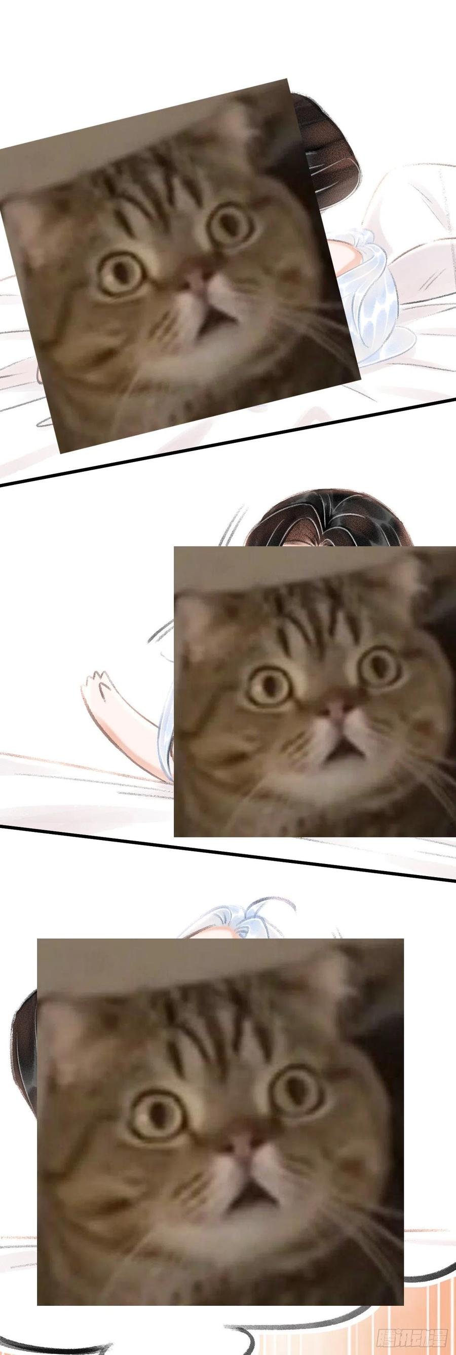 61·沉迷深吻