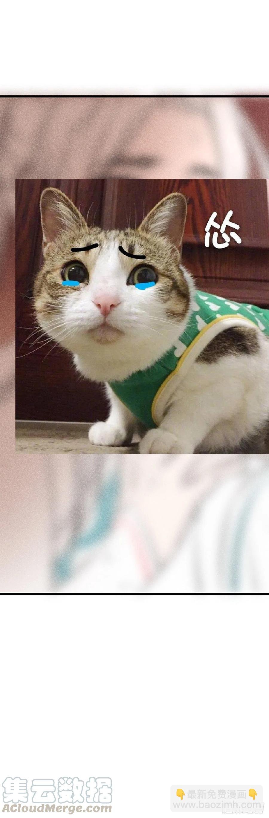 71·意乱迷情（上）