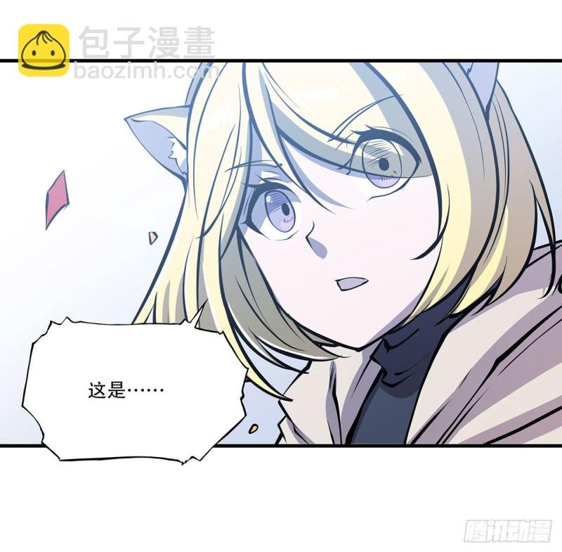 116 伪装