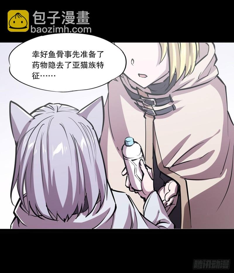 116 伪装