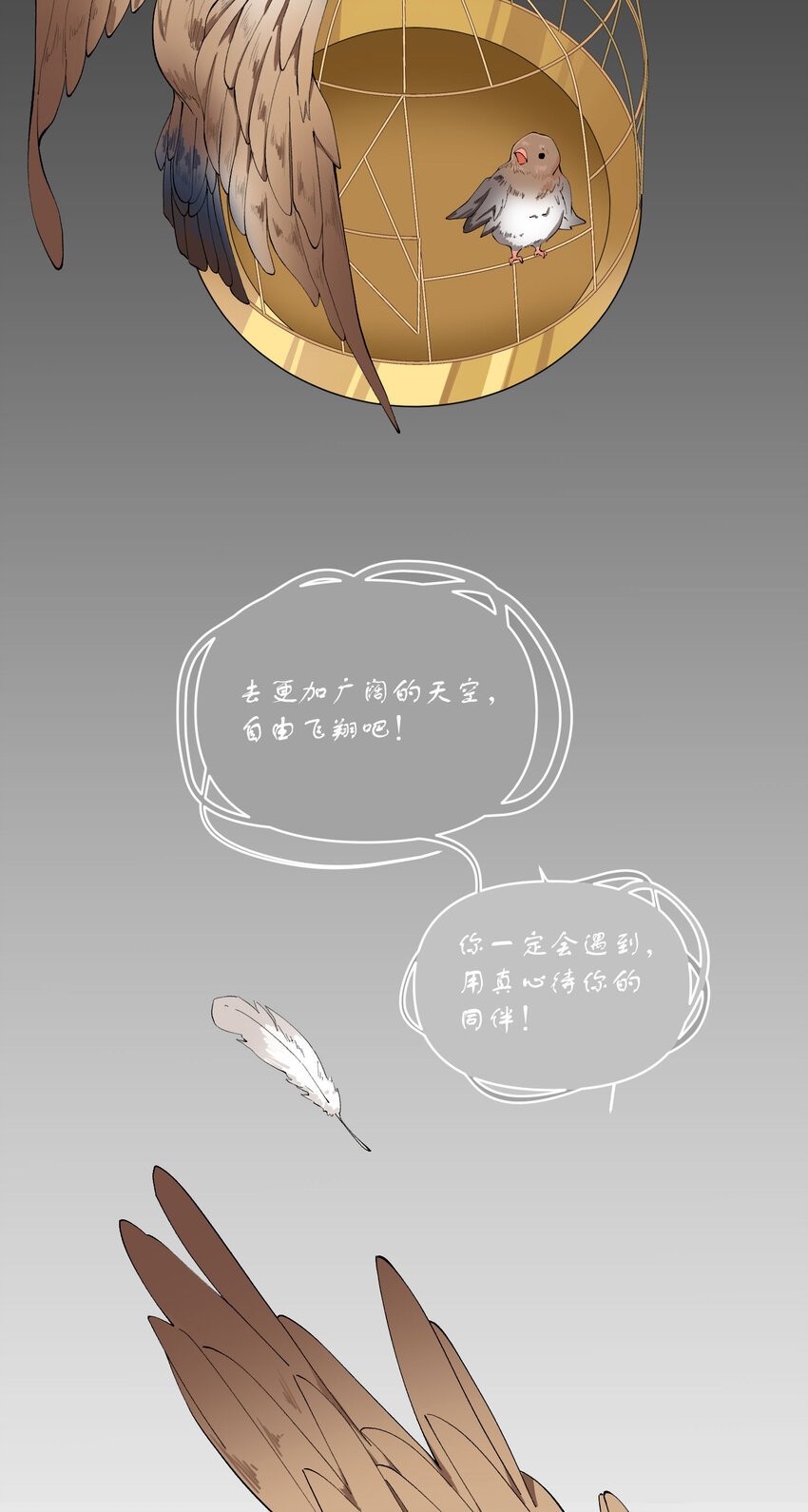 44 第44话-小包子