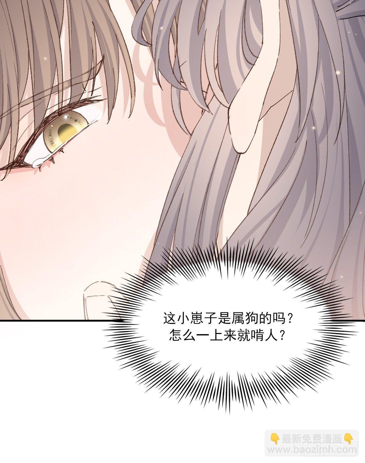 梦