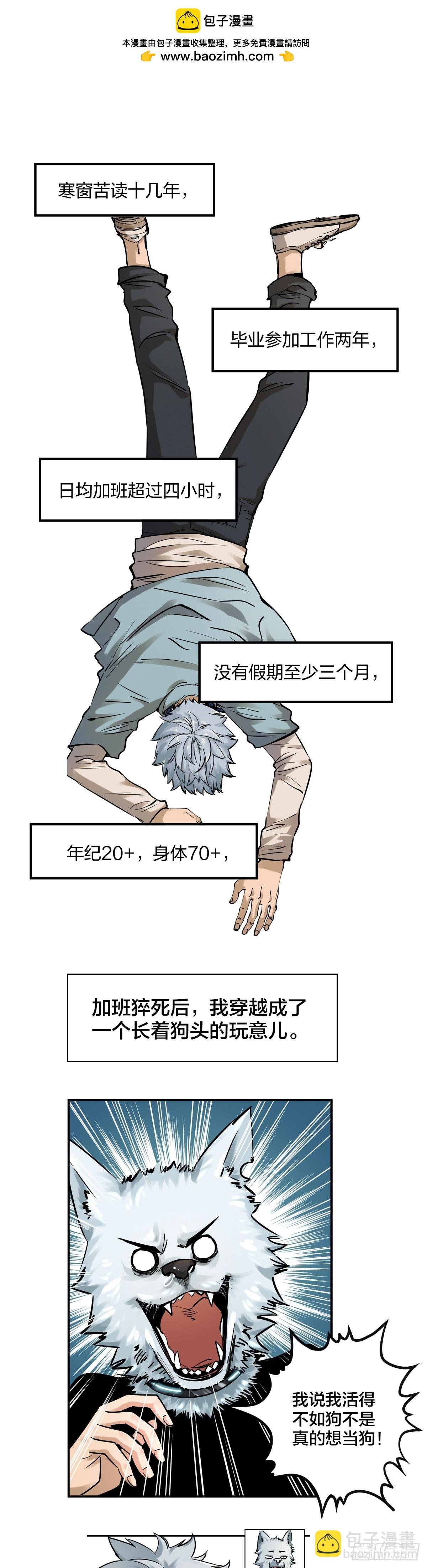 新作预告