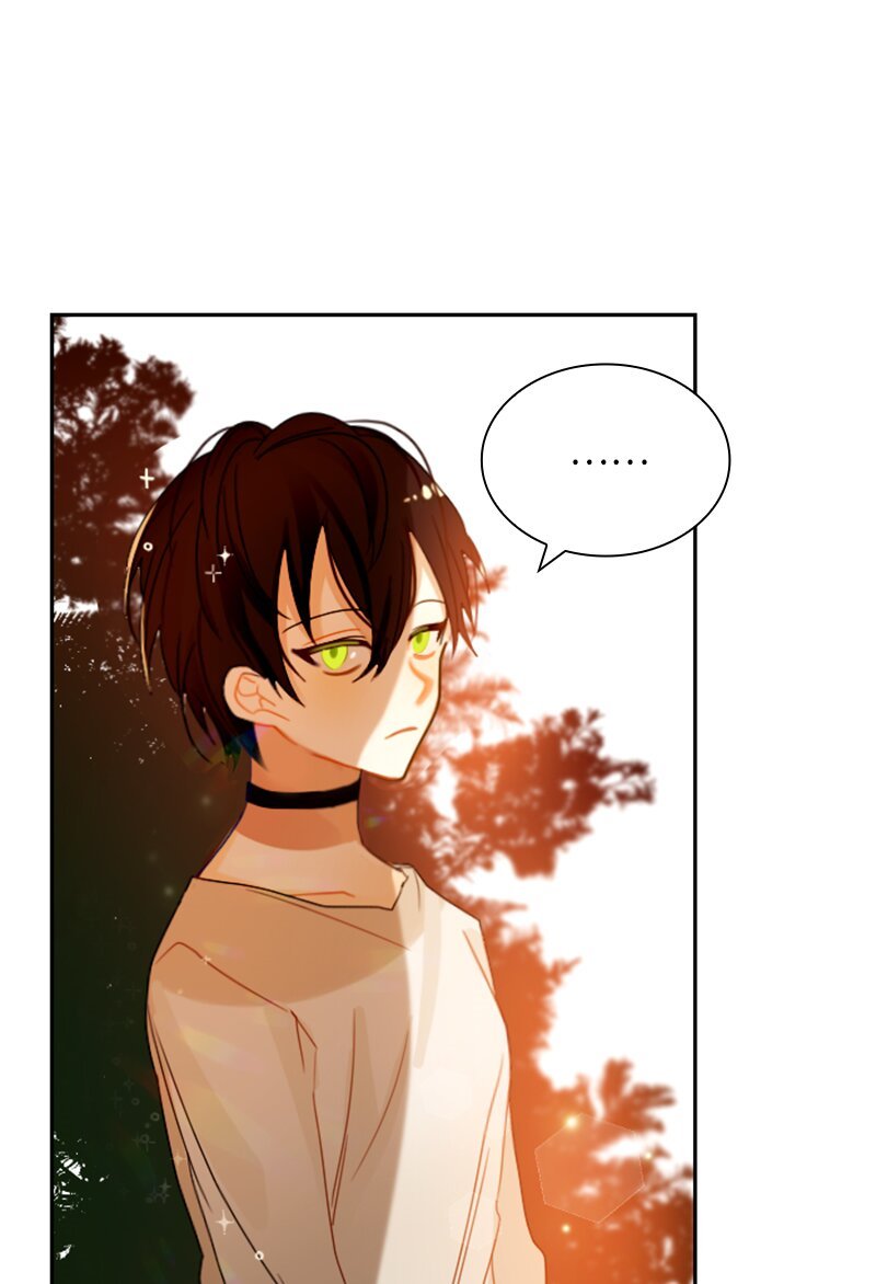 019 第十九章
