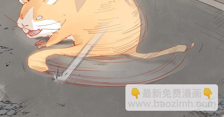 第33话 救星（上）