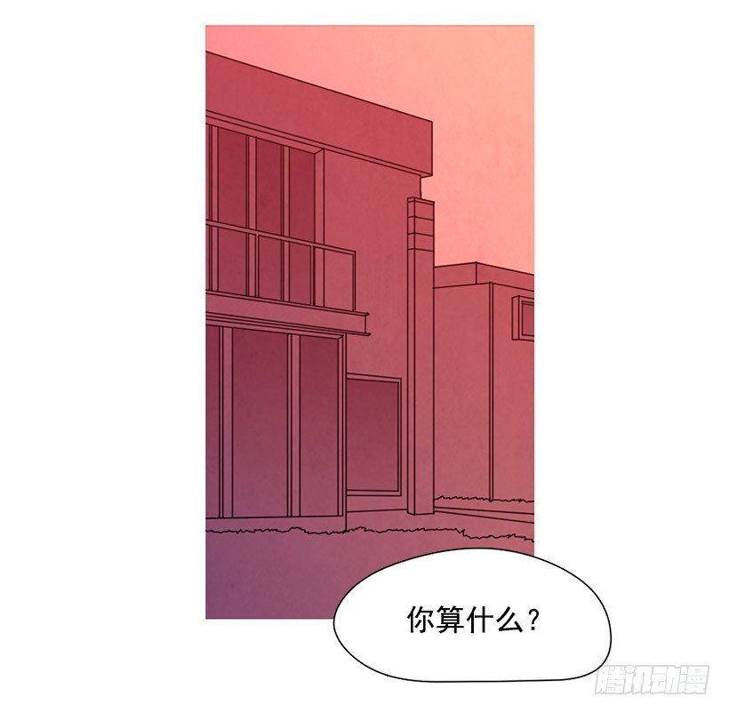 同情