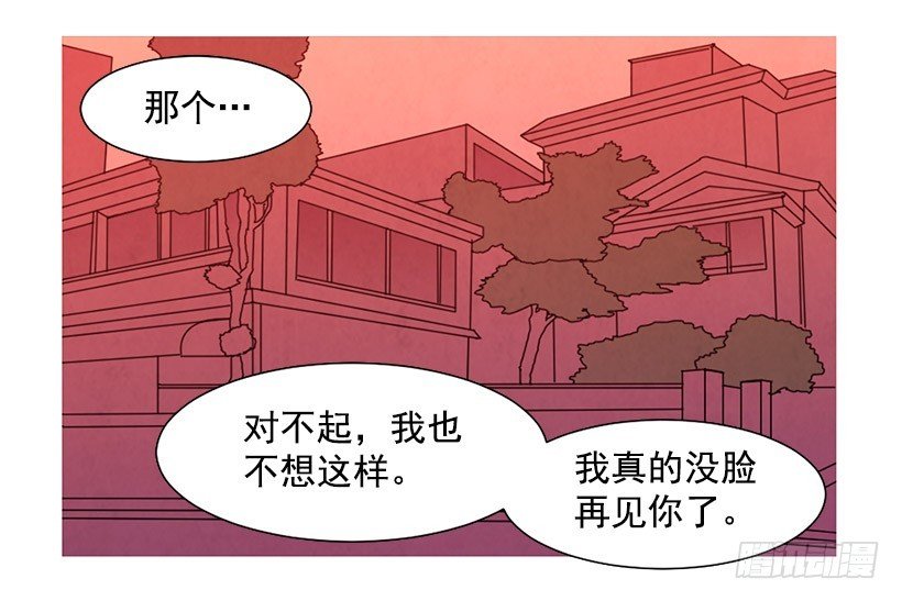 同情