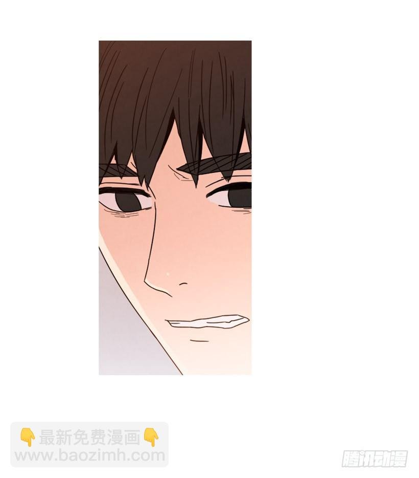不结婚的原因