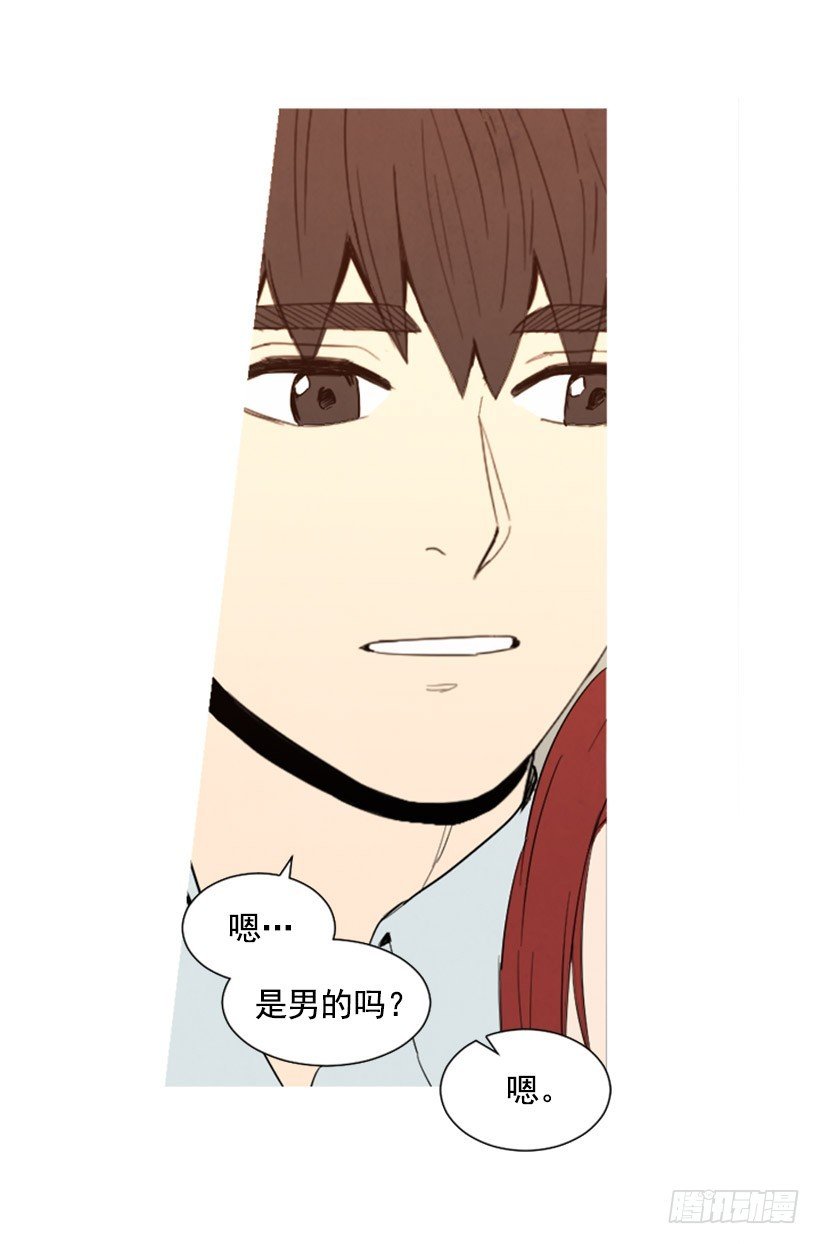 婚后狗粮