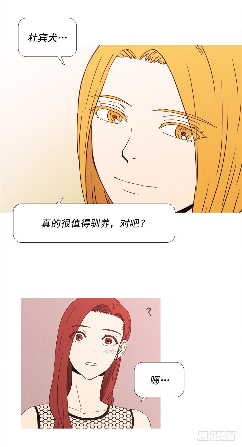 随心而动
