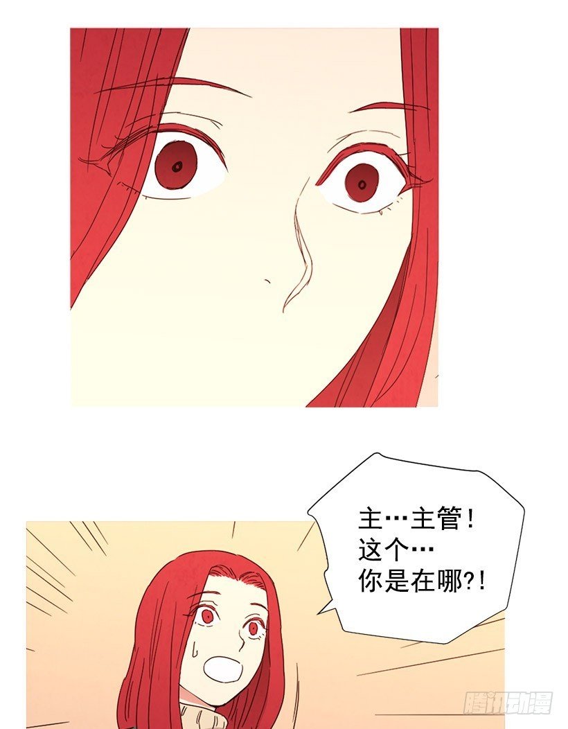 别扯上我