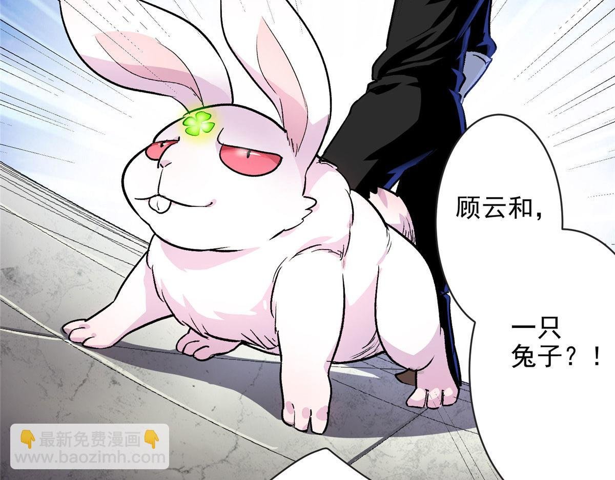 12 幸运兔脚