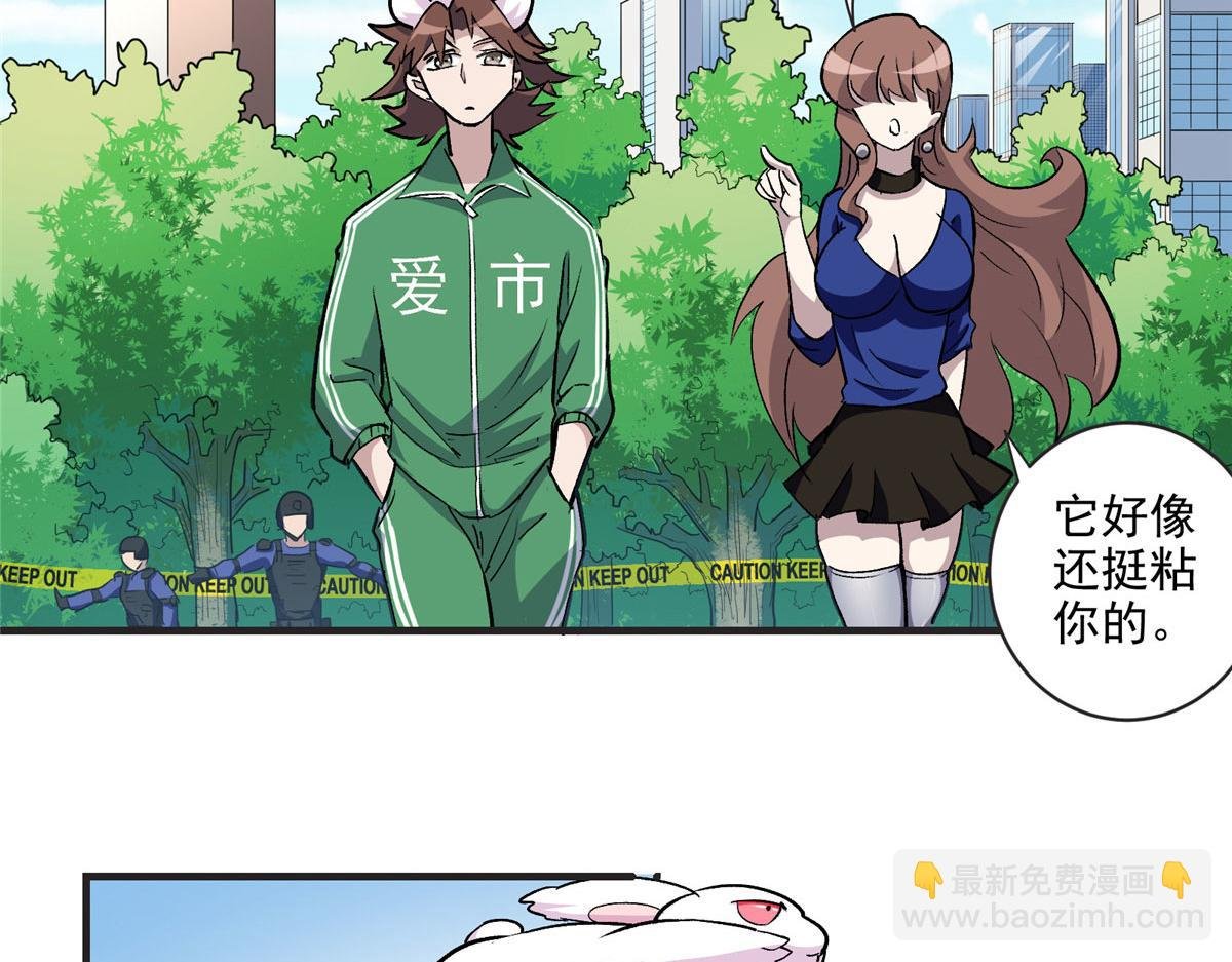 12 幸运兔脚
