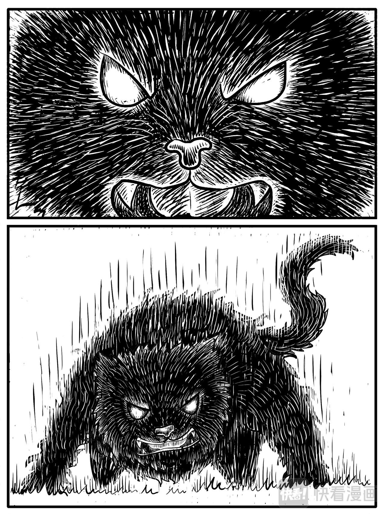 第13-14回