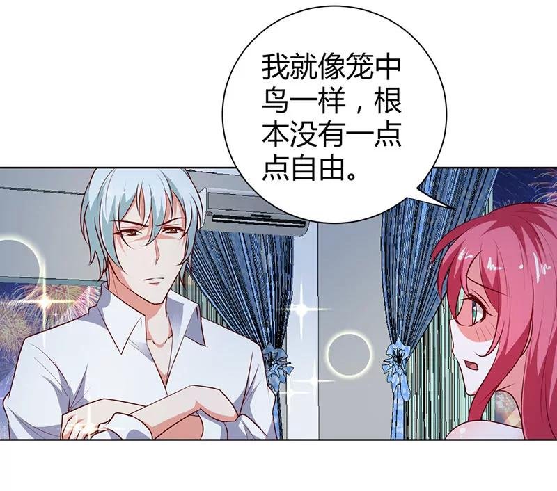我的小金丝雀