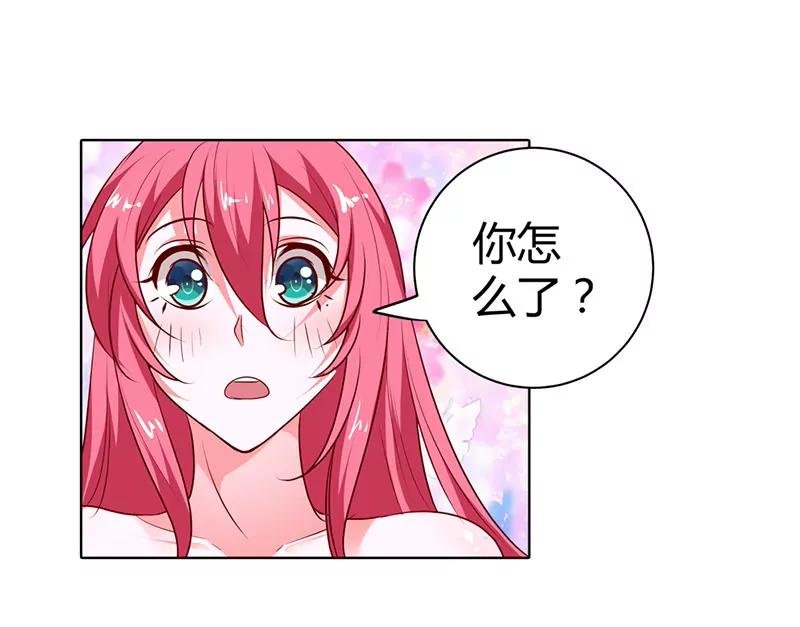 我的小金丝雀