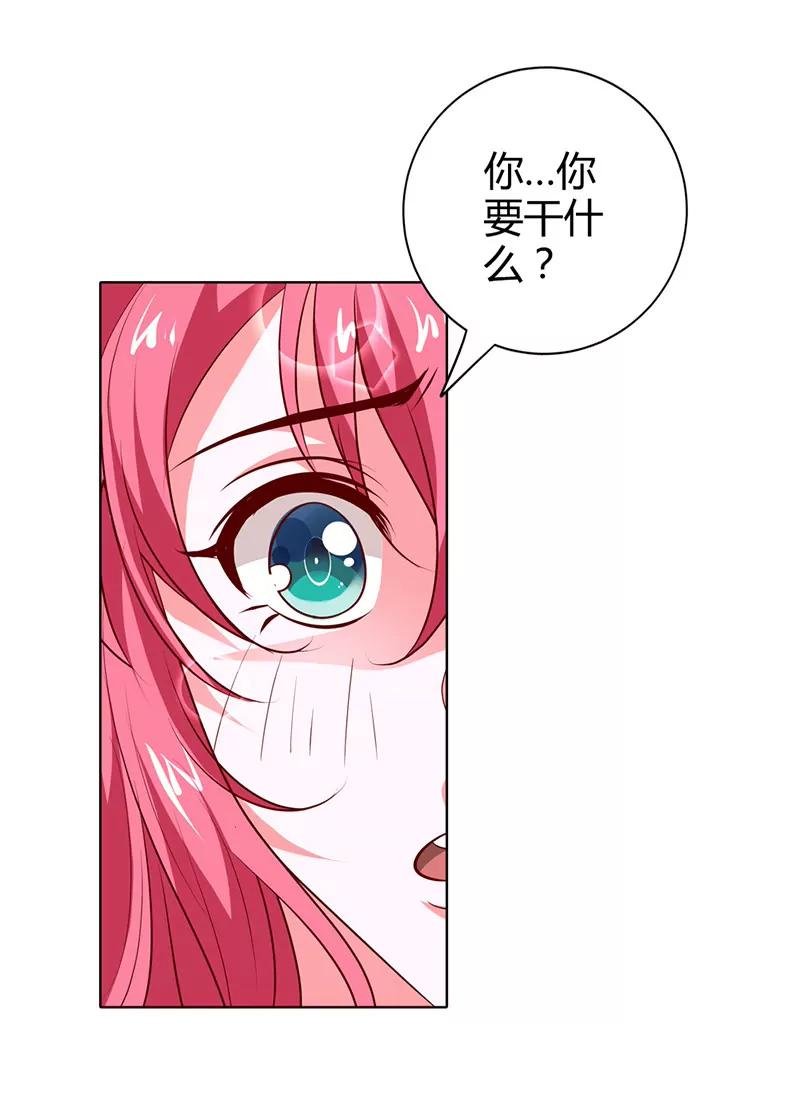 我的小金丝雀