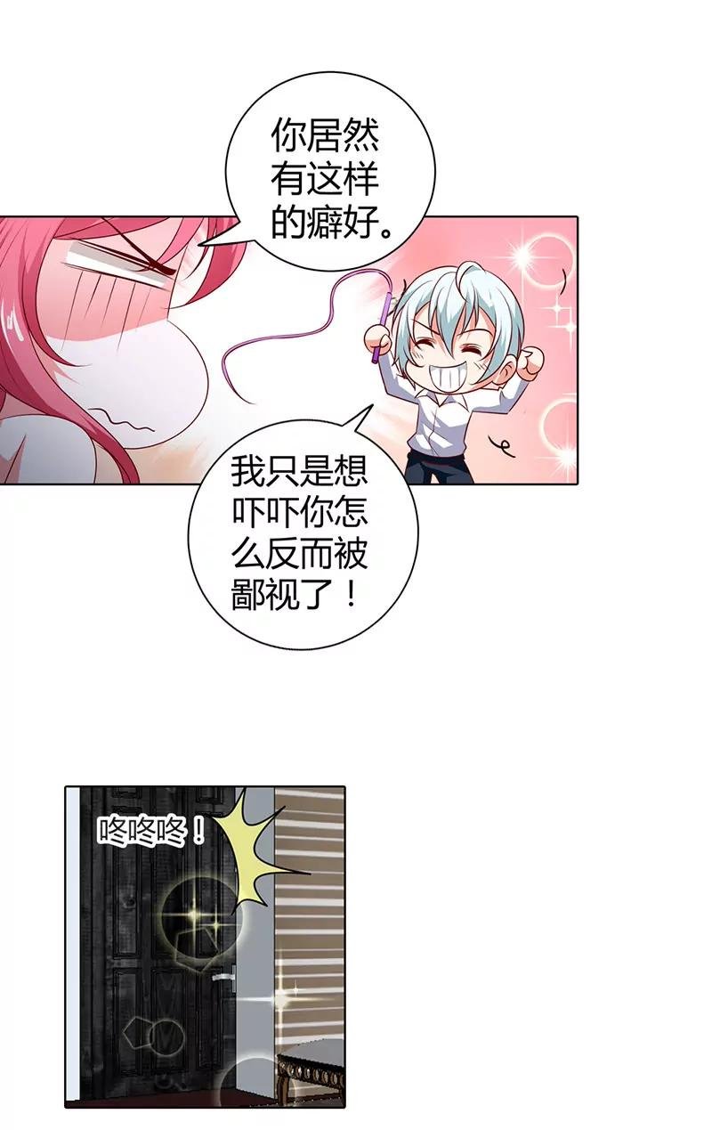 我的小金丝雀